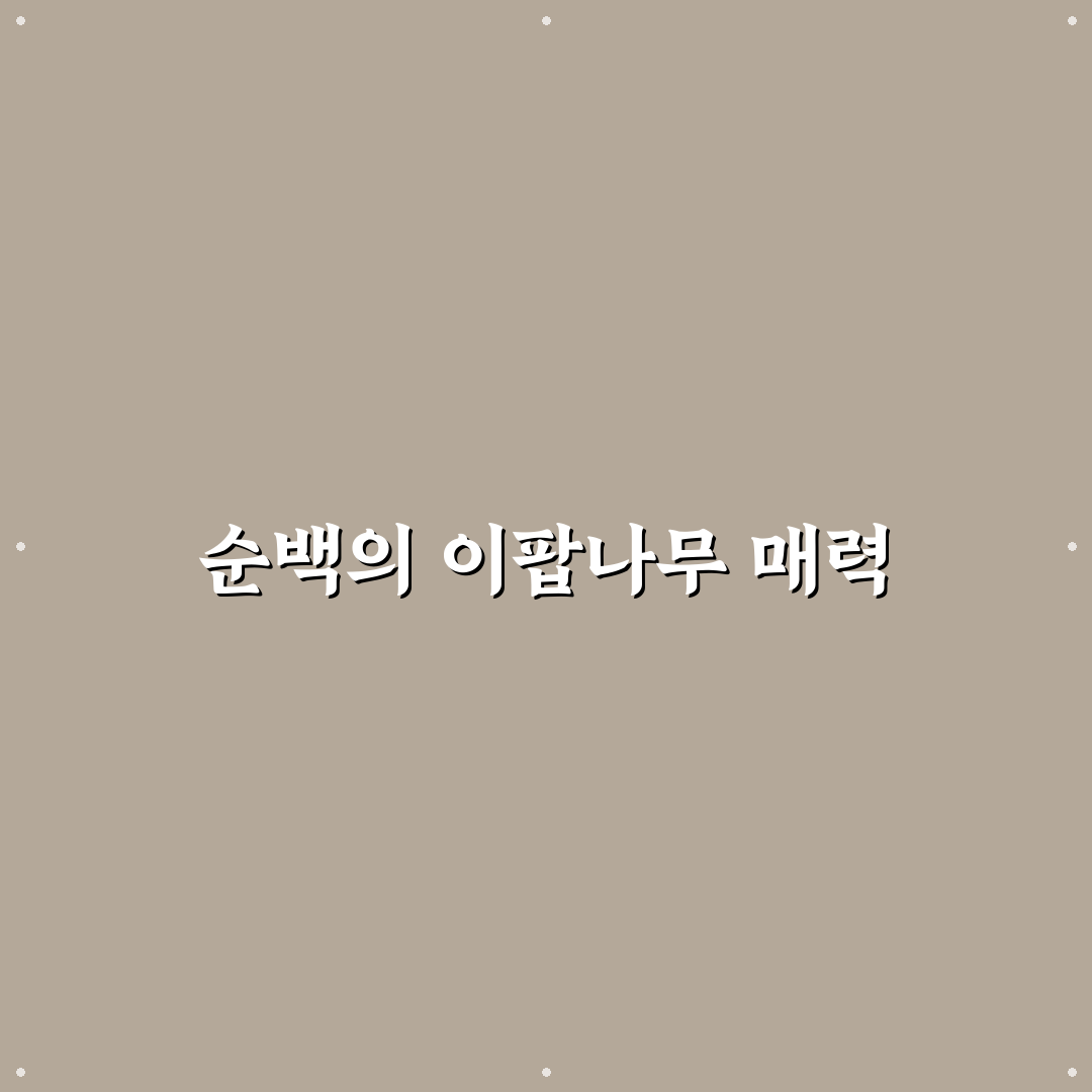 이팝나무 장점 직접 알아보니 키우기 쉬운 이유