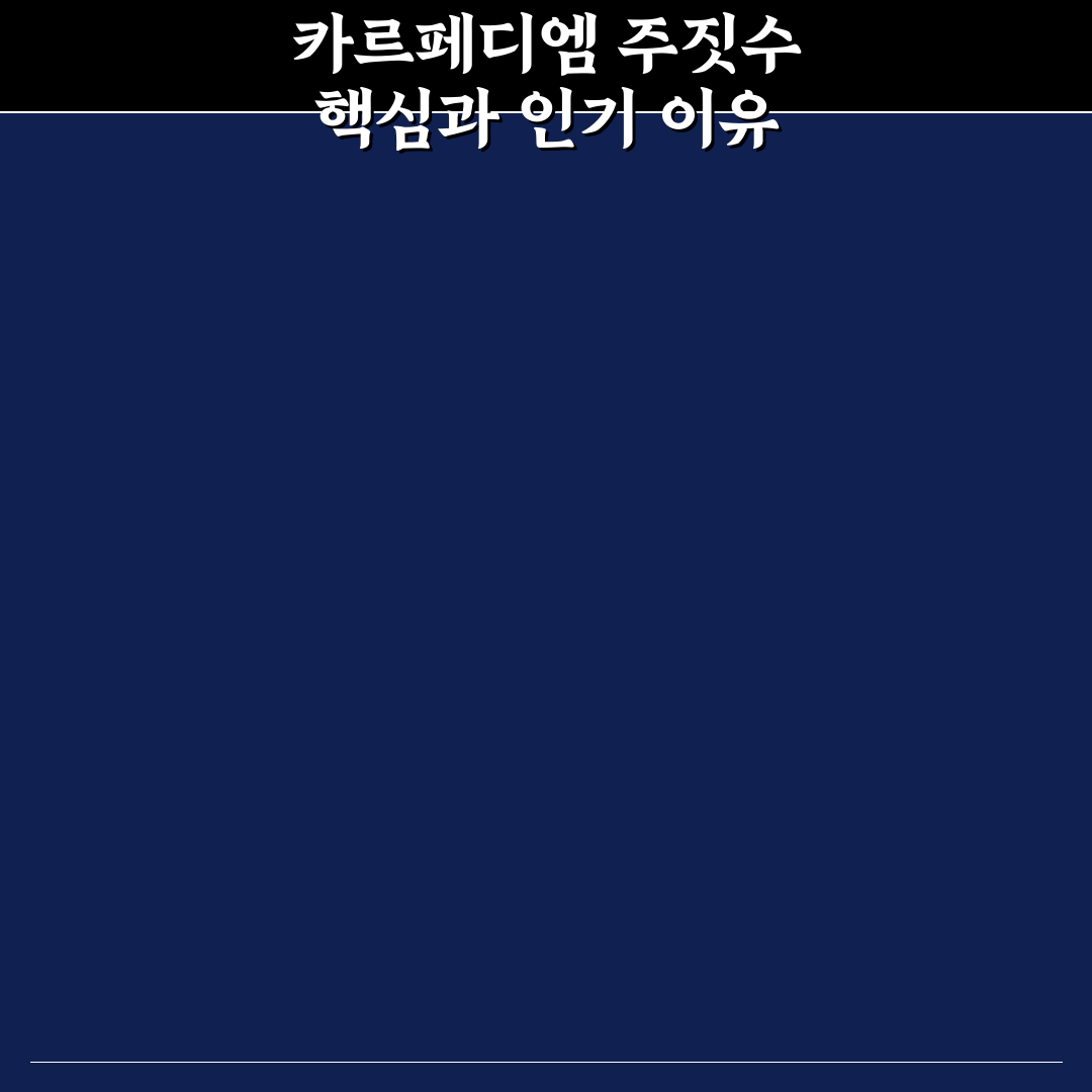 카르페디엠 주짓수 수련 효과와 프로그램 비교 분석