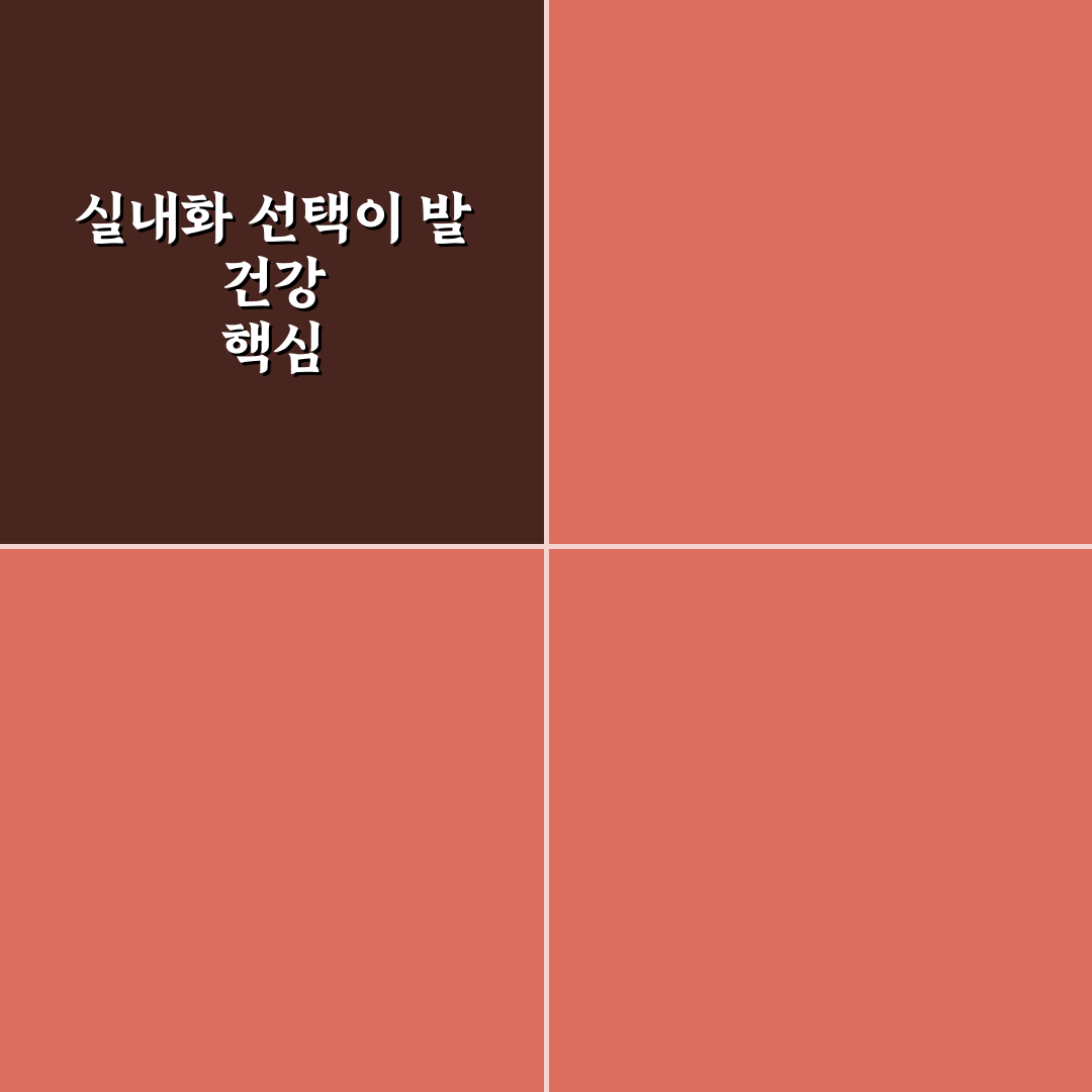 족저근막염 실내화 선택 기준과 효과 비교 분석 5가지