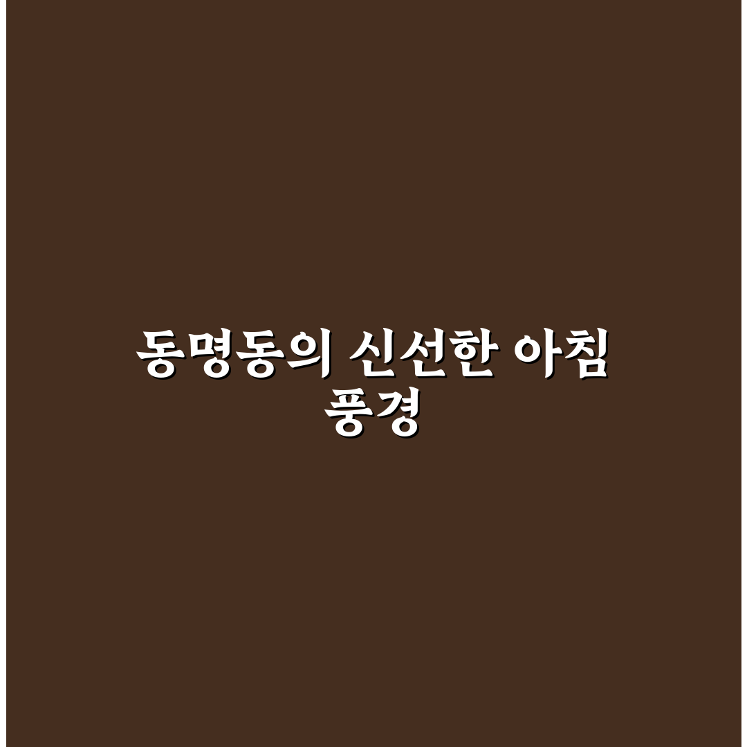 동명동 브런치 카페 방문 후기, 직접 가보니 분위기와 맛은?