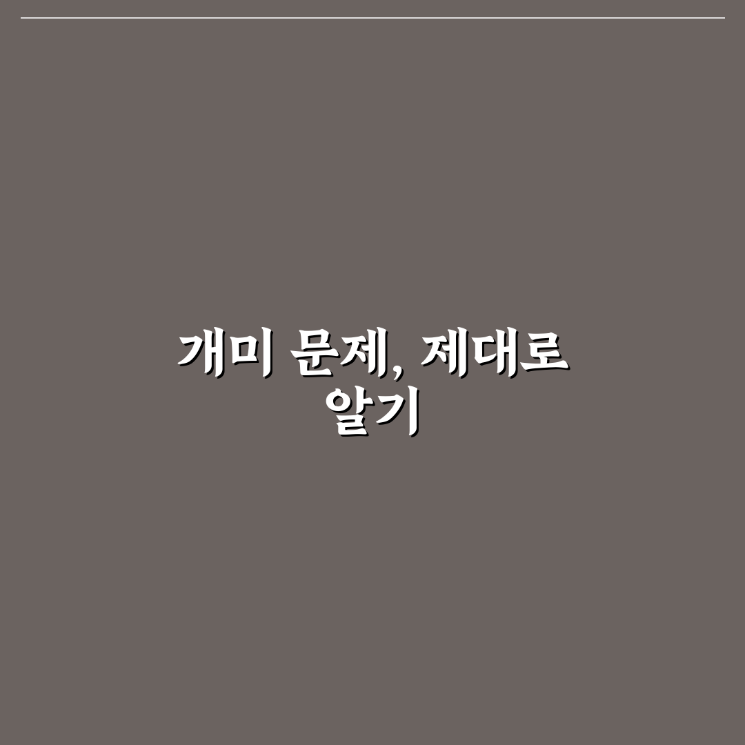 밭에개미퇴치법 5가지 비교와 효과 판단 가이드