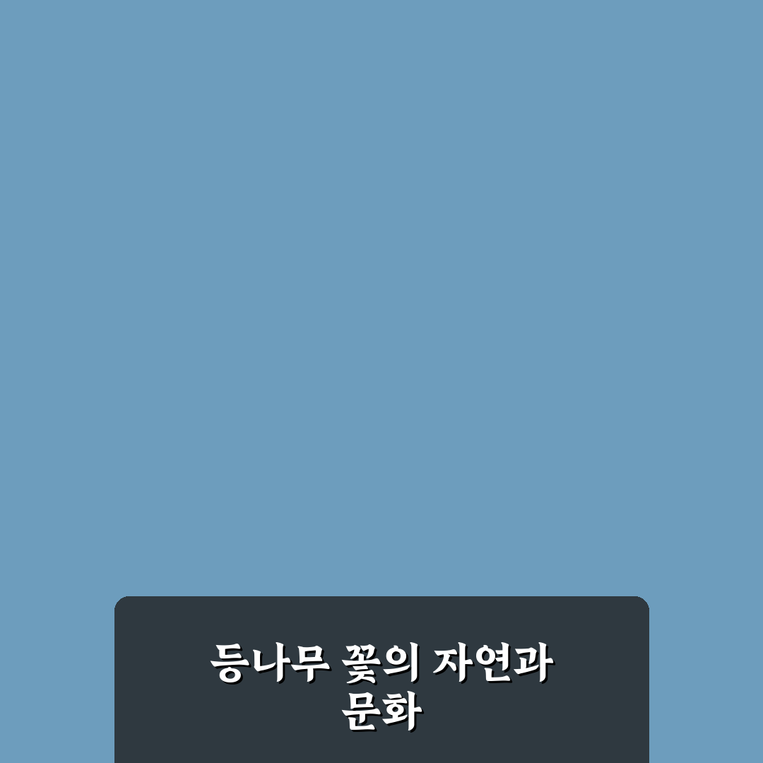 밀양 등나무 꽃 감상 포인트와 품질 비교 가이드