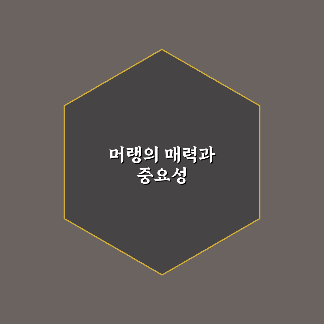 머랭그 종류별 특징과 선택 기준 비교 분석 가이드