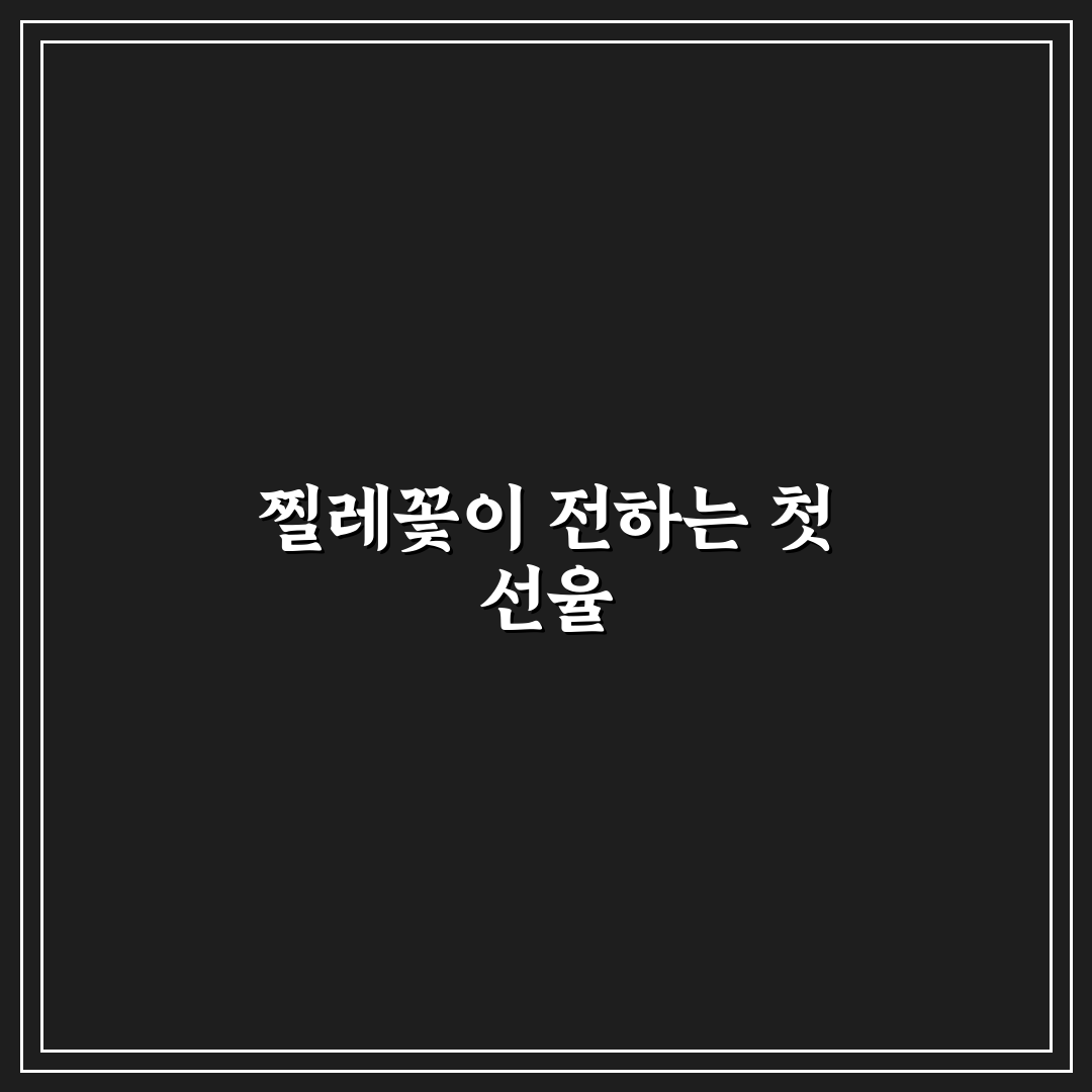 찔레꽃 가사 악보 직접 알아보니 집중하기 좋은 구성이었다