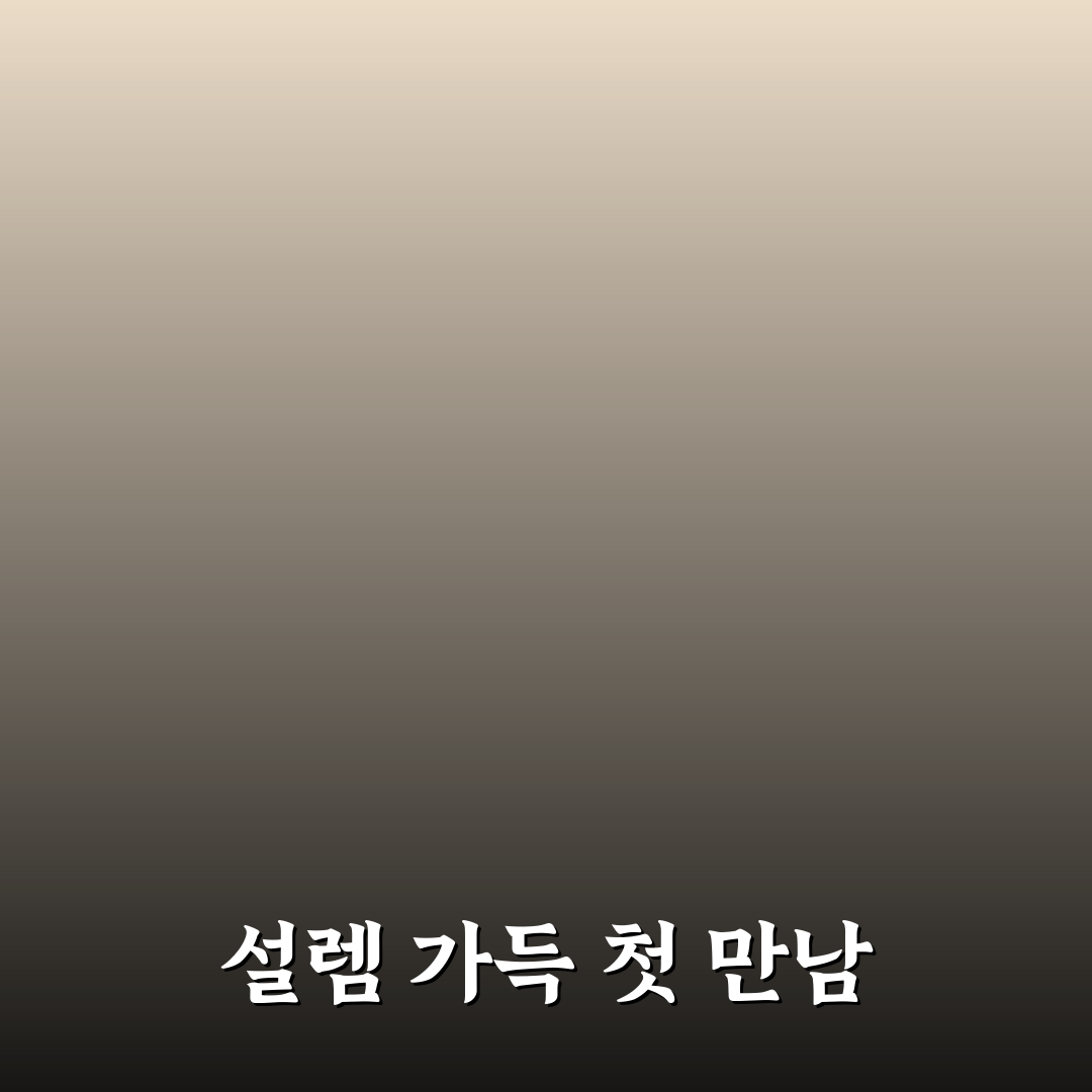 태극기 휘날리며 넷플릭스에서 직접 이용해보니