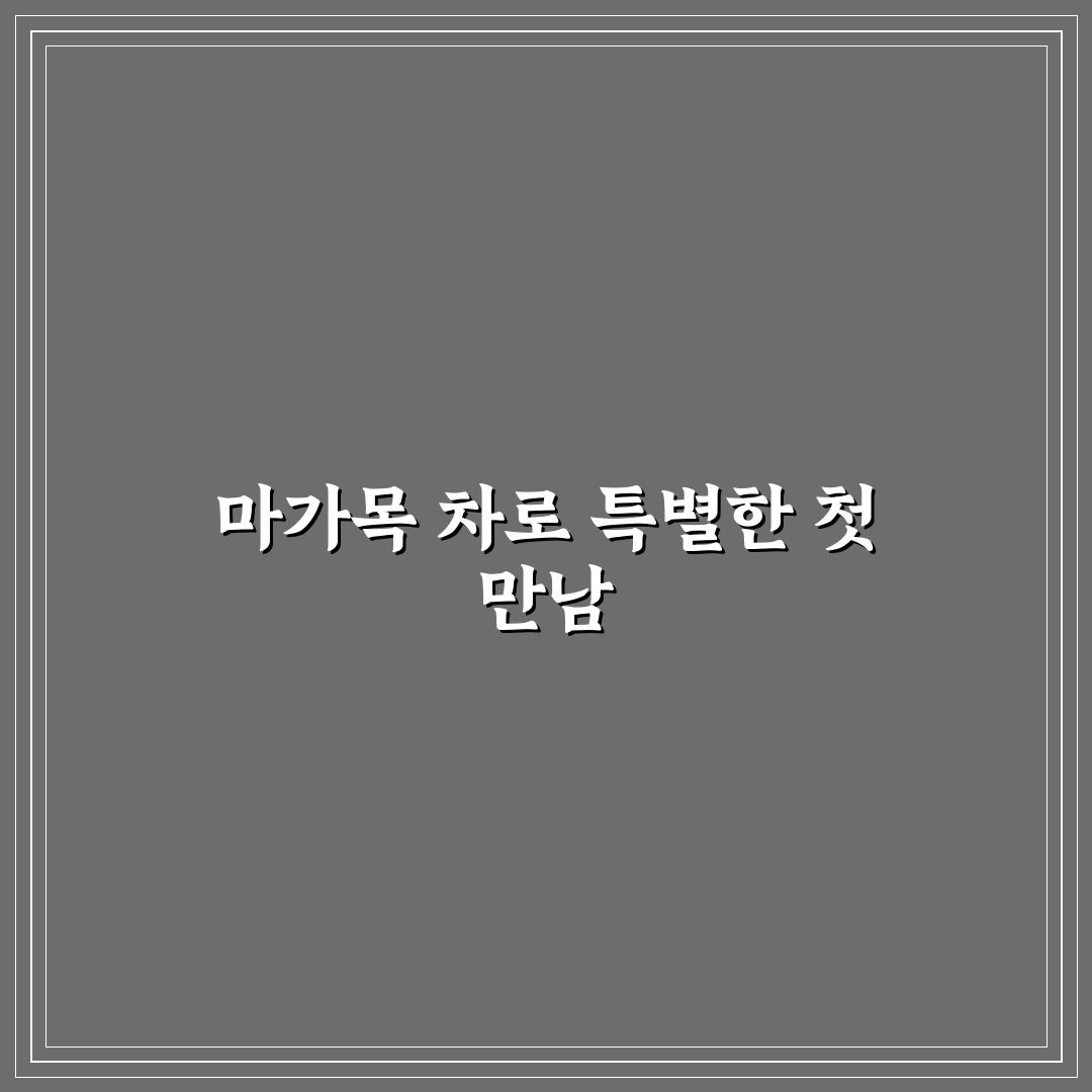 마가목 물끓이는방법 직접 해보니 알게 된 점들