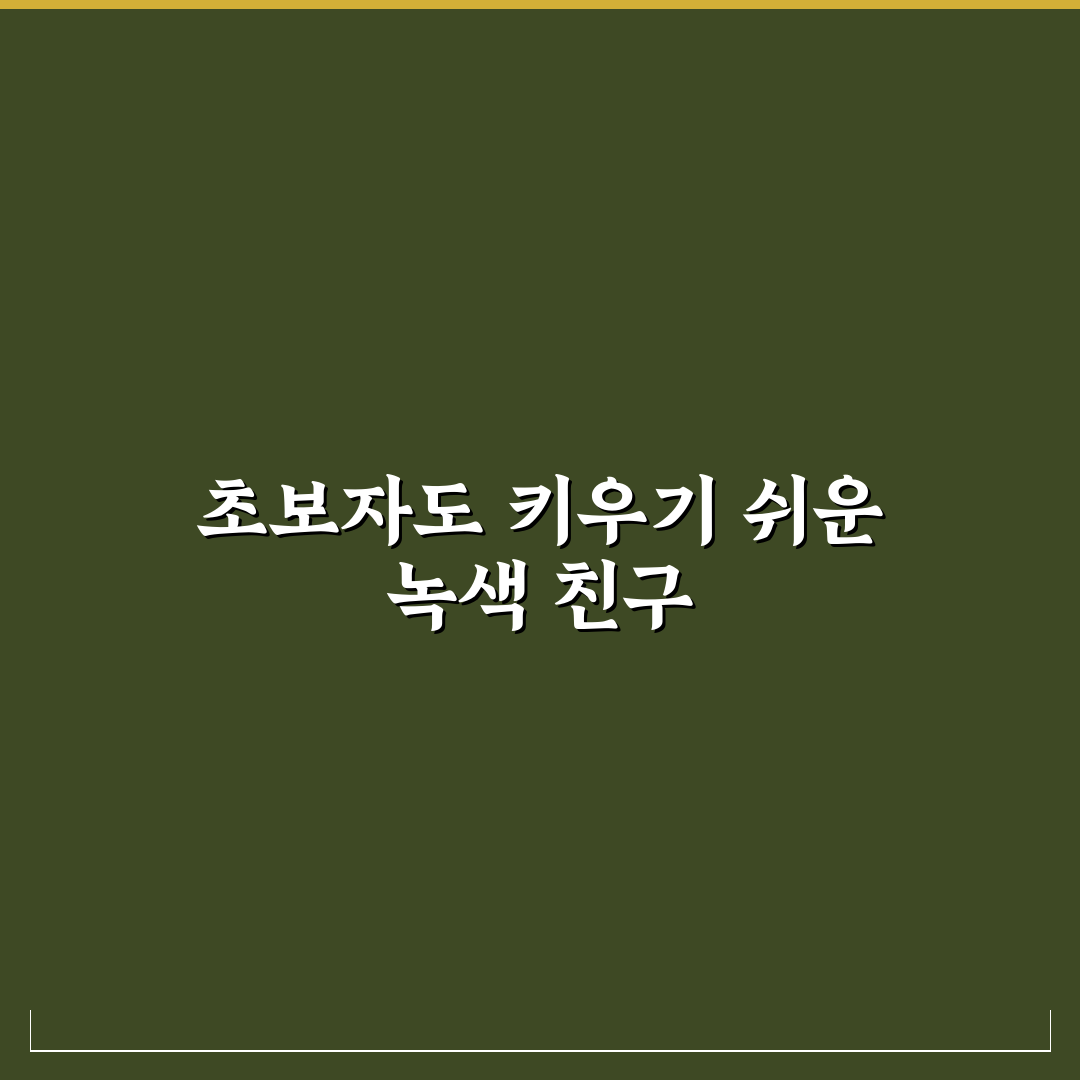 맥문동 키우기 직접 해보니 초보도 어렵지 않았던 점