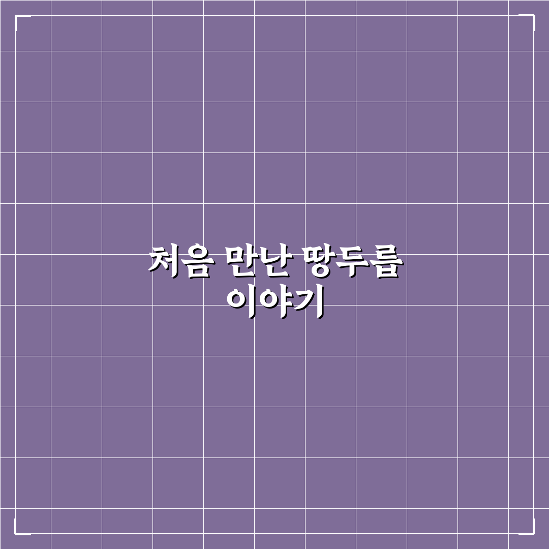 땅두릅 키우기 직접 해보니 어려웠던 점과 팁