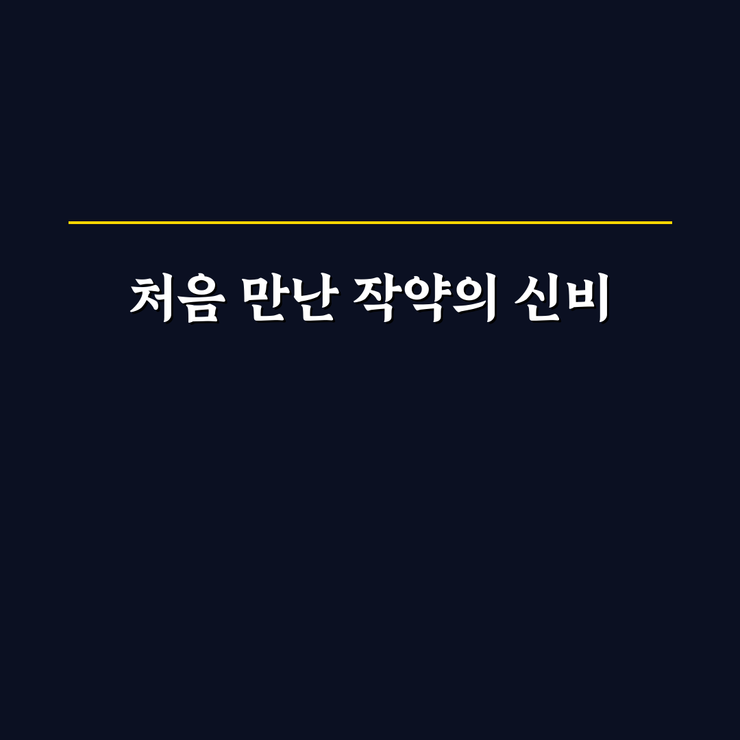 작약 물꽂이 사용 후기, 직접 해보니 달라진 점들