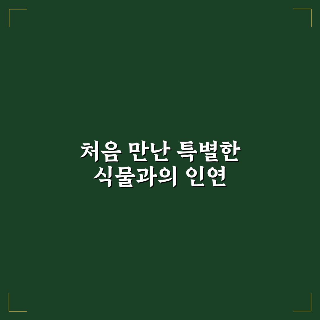 마가목키우기 직접 해보니 달라진 점과 주의할 점