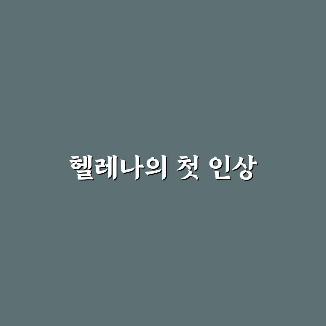 오디세이 헬레나 사용 후기, 직접 써보니 알게 된 점