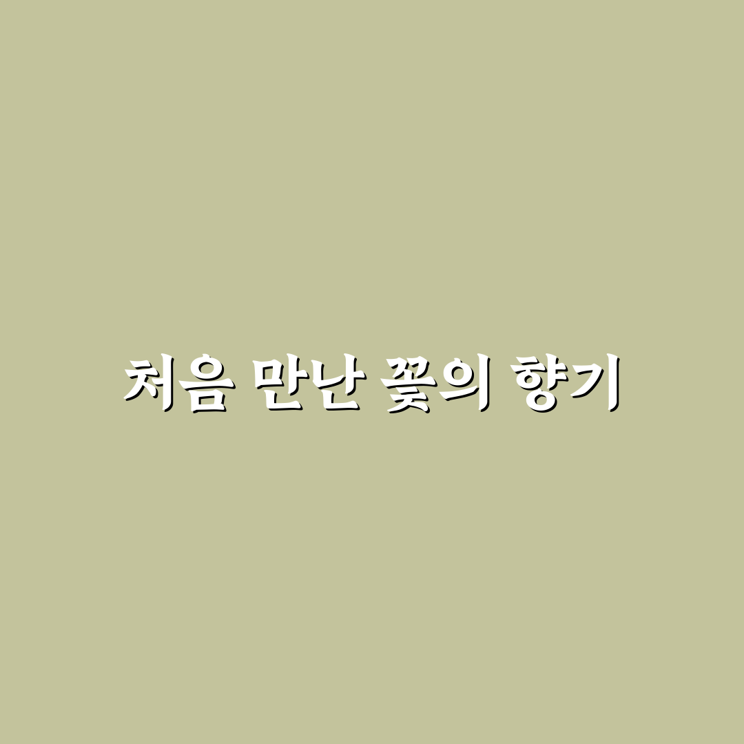 신안 수국축제 기간 방문 후기, 시기별 풍경과 분위기