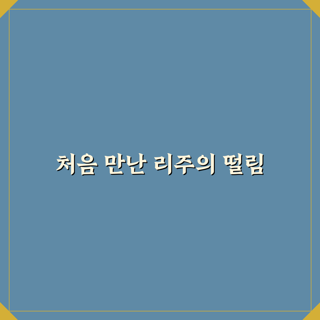 유튜버 리주 직접 이용해보니 매력과 아쉬움