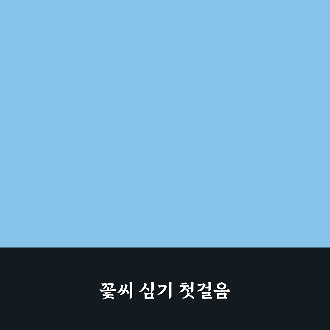 샤스타데이지 씨앗 심는 시기 직접 알아보니 경험 후기