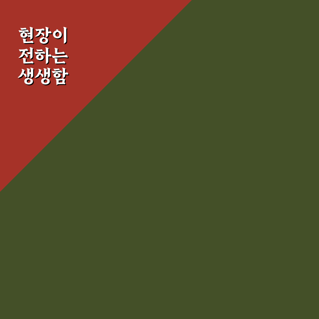 lafc 경기중계 직접 이용해보니 편리한 점과 아쉬운 점