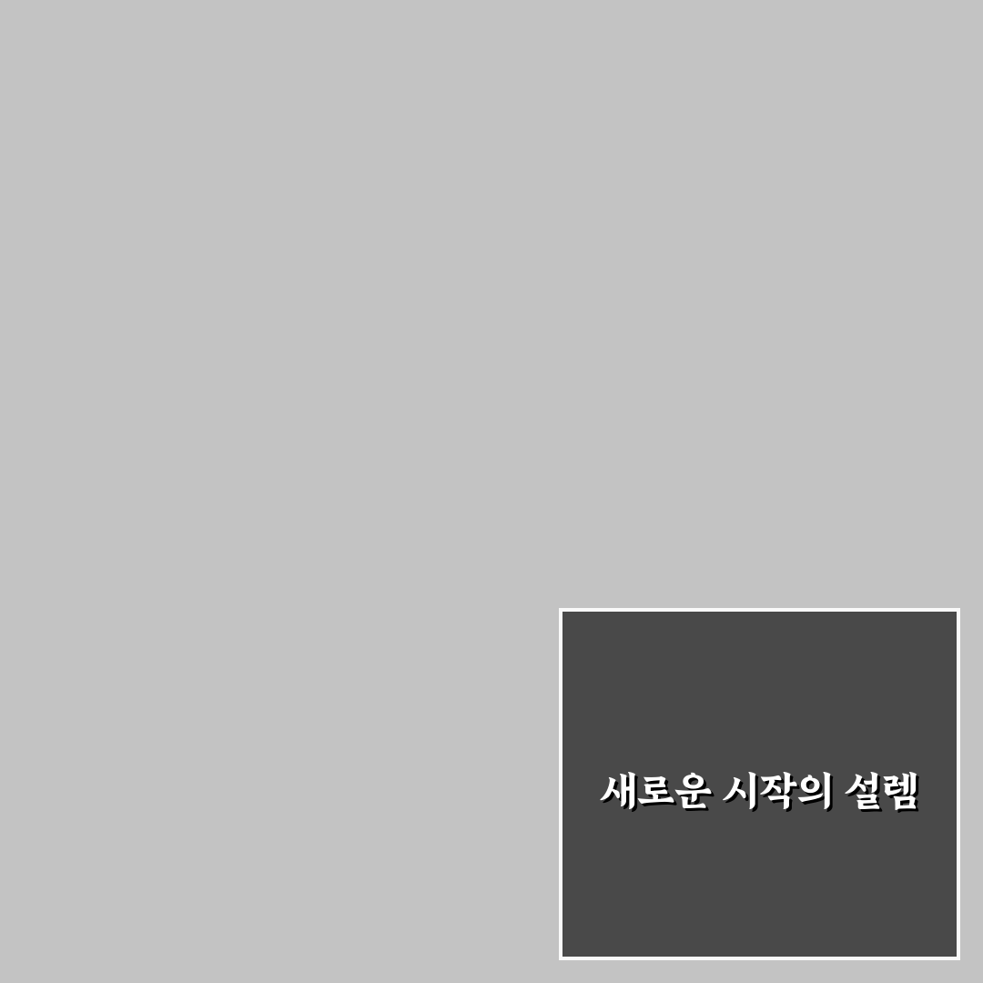 남이섬 집라인 체험기, 실제 타보니 어땠는지