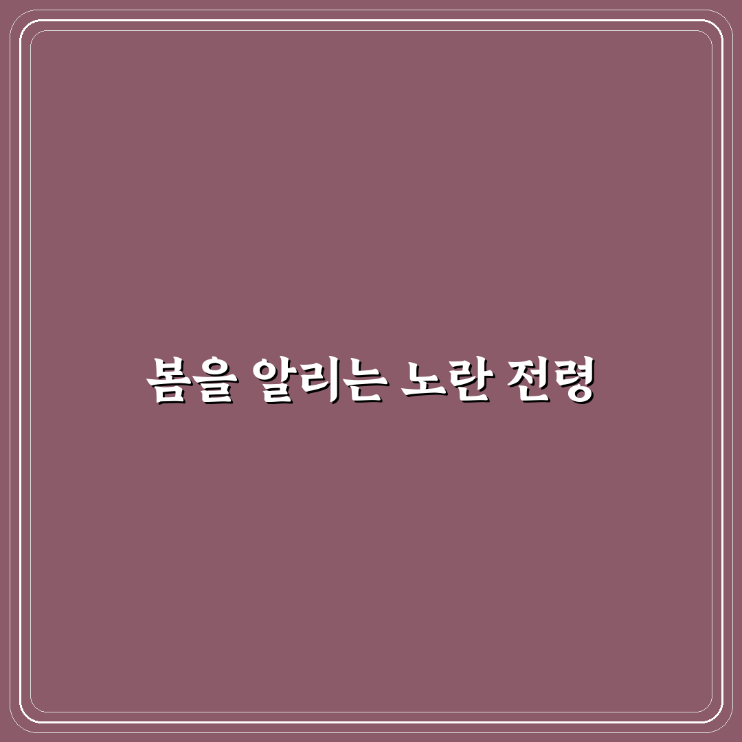 송엽국 꽃피는 시기 직접 알아보니 계절별 변화가 궁금했어요