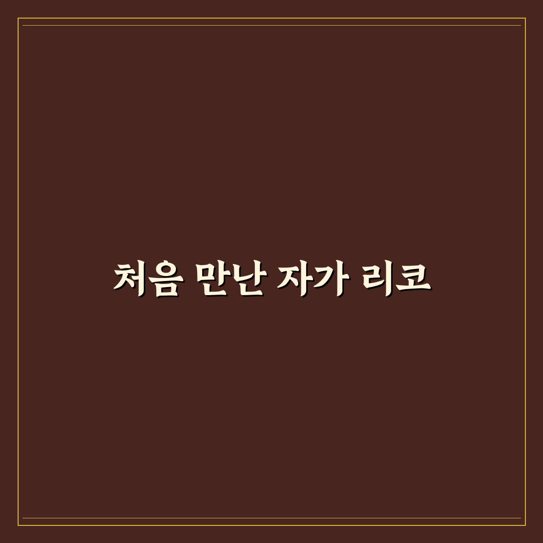 자가 리코 맛 추천, 직접 먹어보고 느낀 점 후기