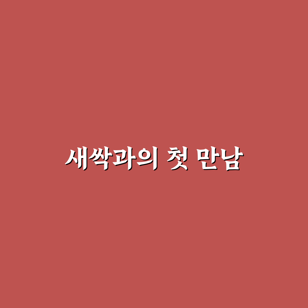 미스김라일락 묘목 사용 후기, 직접 키워보니 느낀 점