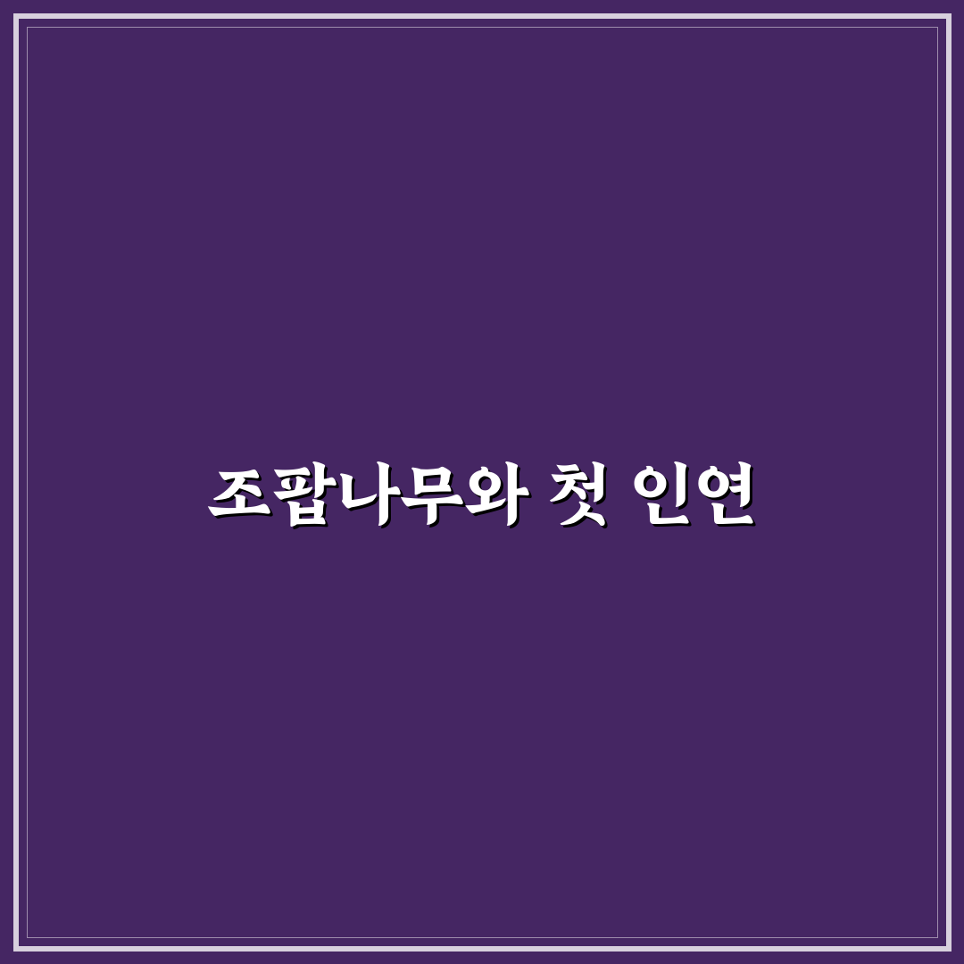 조팝나무 키우기 직접 해보니 관리 난이도는 어떨까