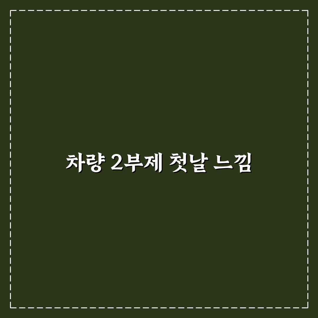 차량 2부제 시간 직접 알아보니 불편한 점과 개선 방향