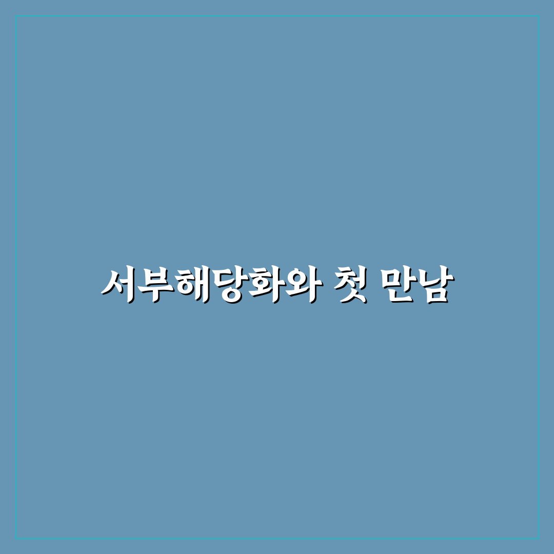 서부해당화 개화기간 직접 알아보니 시기와 특징