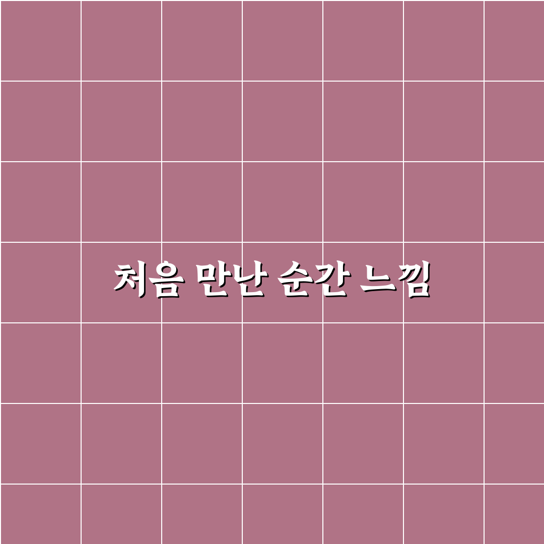 포모 증후군 예시 직접 알아보니 몰랐던 점들