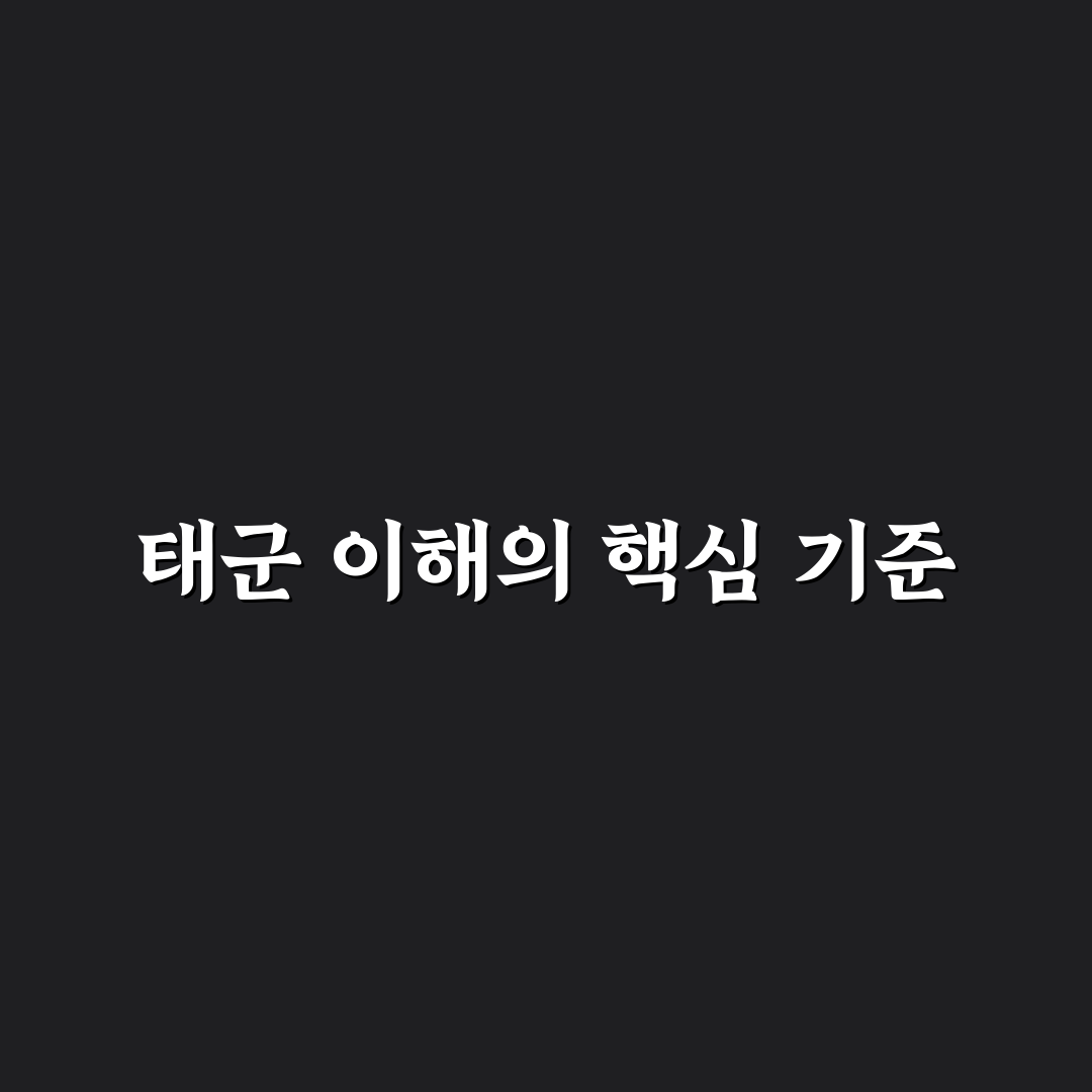 유튜버 태군 성공 요인 5가지 비교 분석 가이드