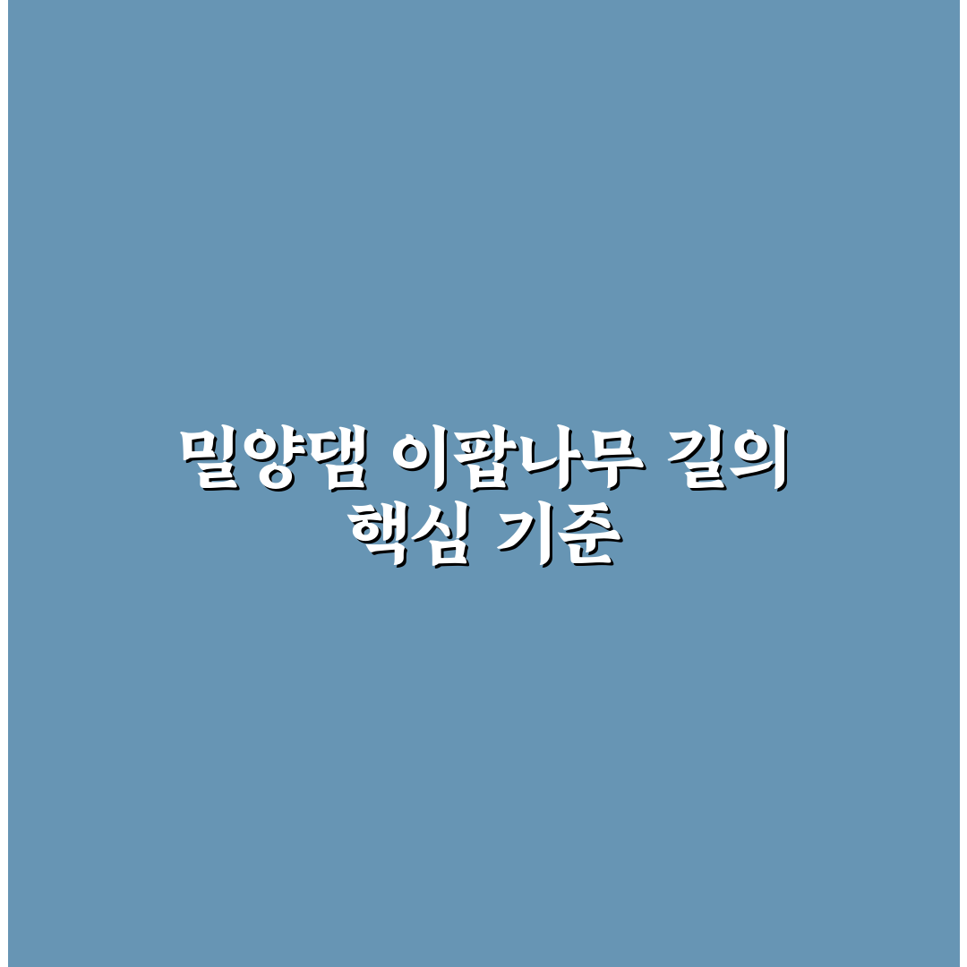 밀양댐 이팝나무 길 방문 전 반드시 확인할 5가지 체크포인트