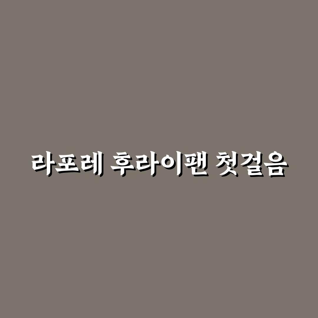 라포레 후라이팬 비교와 분석을 통한 5가지 사용 기준 총정리