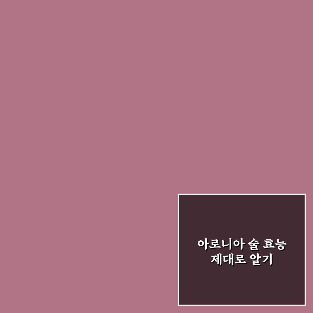 아로니아 술효능 5가지 기준별 효과 분석과 체크포인트