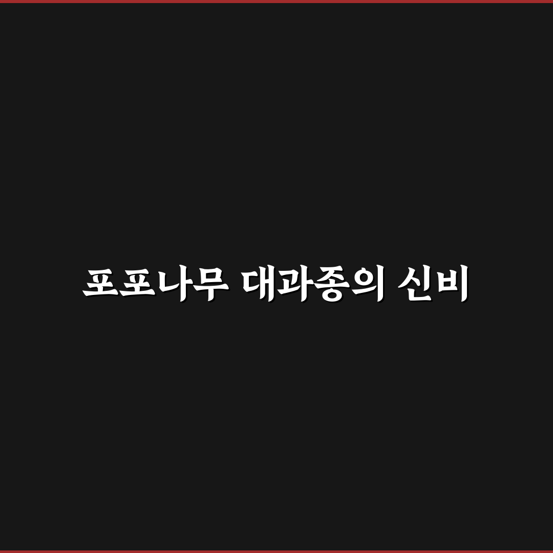 포포나무 대과종 사용 후기, 직접 써보니 느낀 점