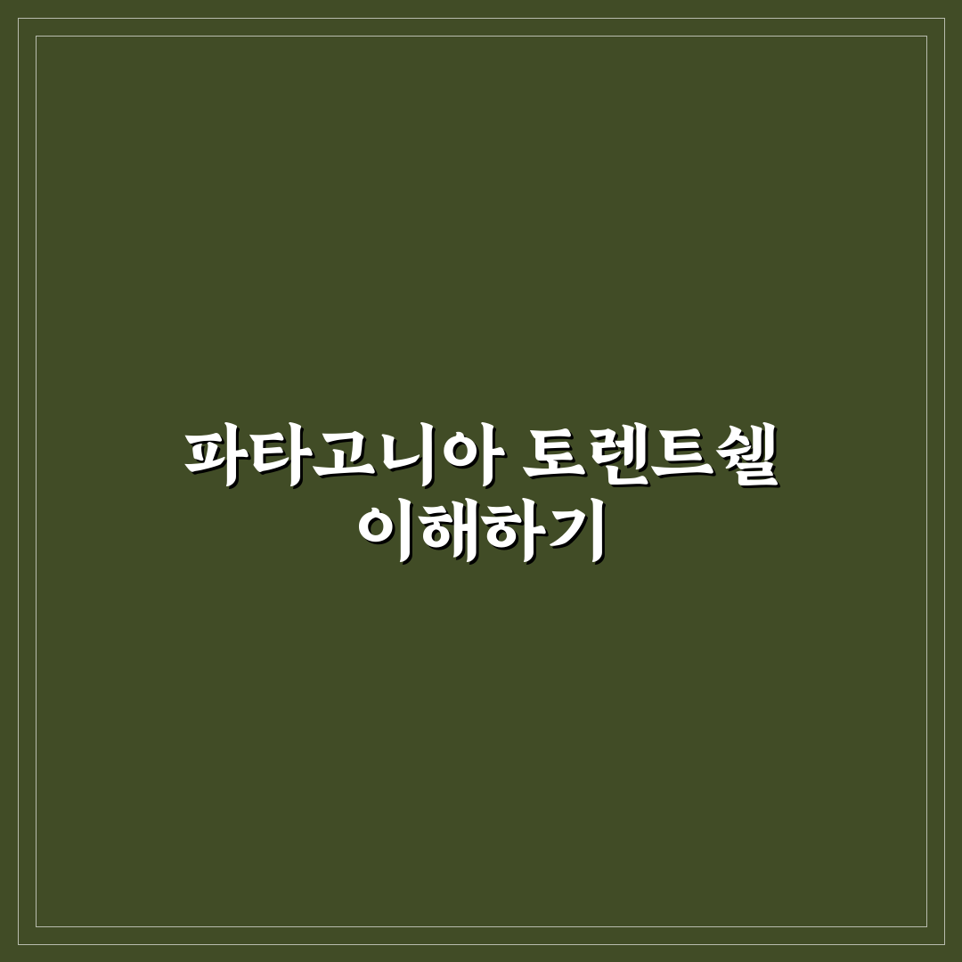 파타고니아 토렌트쉘 방수재질 비교와 구매 가이드 5가지