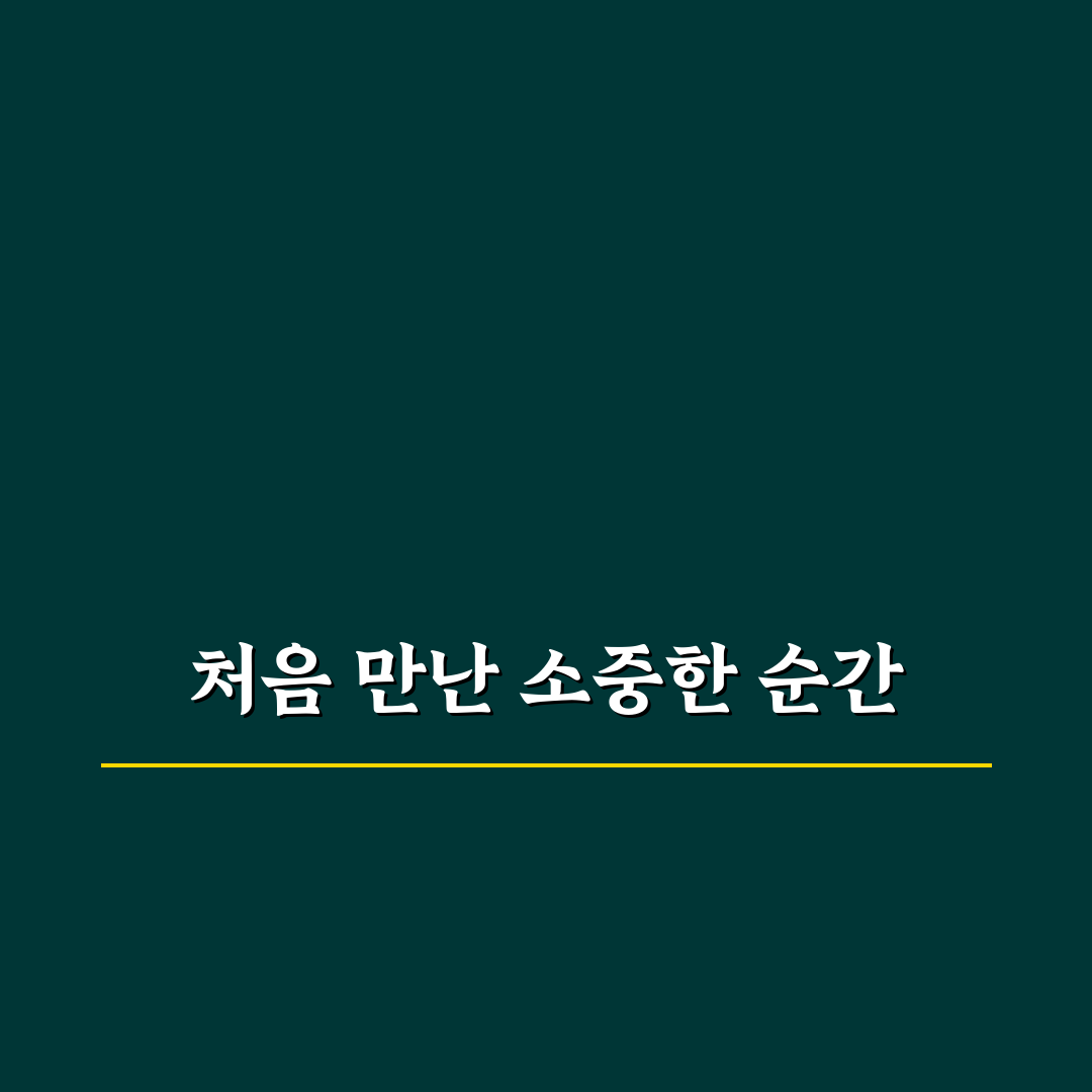 시절인연 단행본 후기, 직접 읽어보니 느낀 점