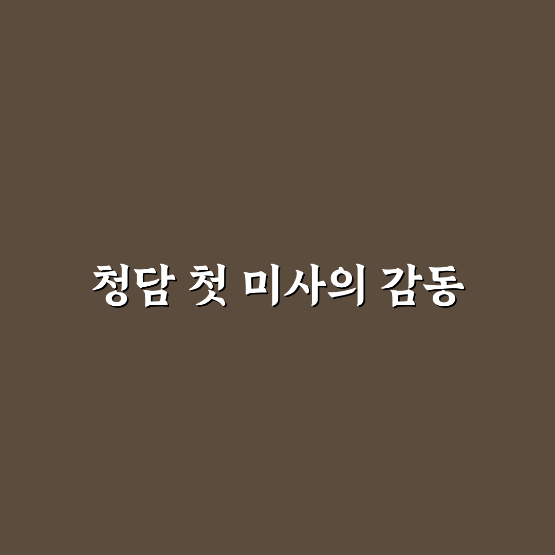 청담동 성당 미사시간 직접 알아보니 편리했던 점과 아쉬운 점