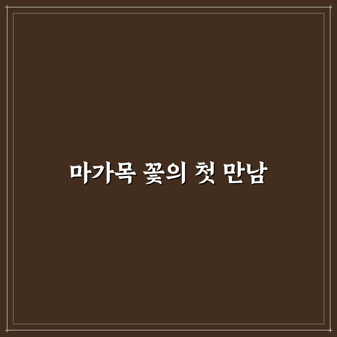마가목 꽃 피는 시기 직접 알아보니 봄철 변화가 인상적이었어요