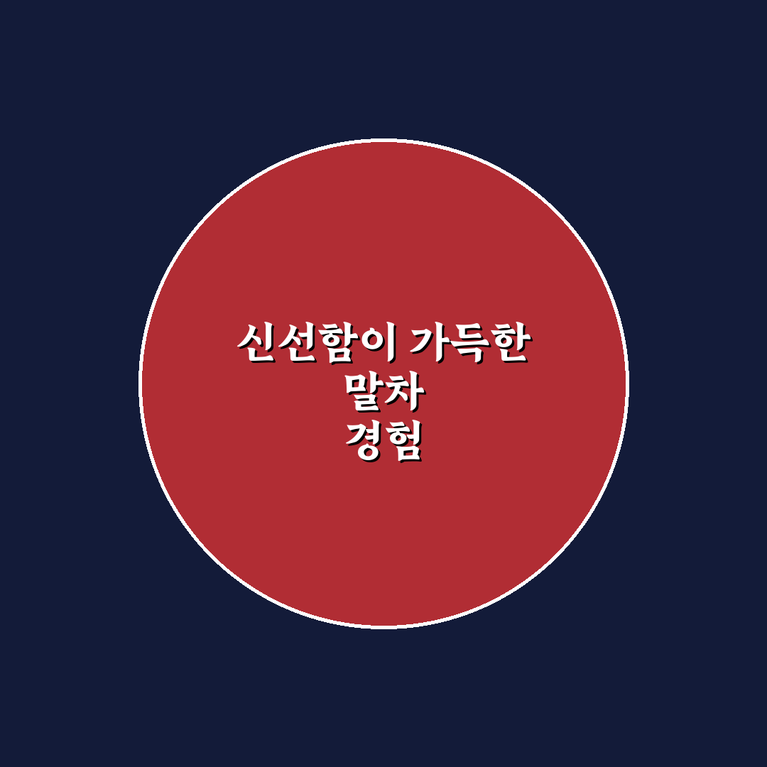 스타벅스 말차 둥둥 5가지 기준 비교 및 평가 가이드