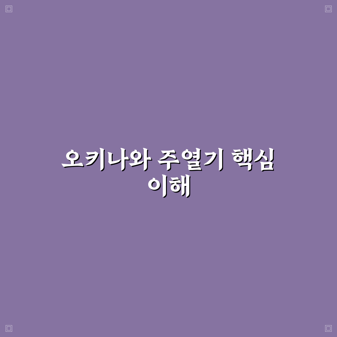 오키나와 주열기 사용법과 관리 꿀팁 알려드려요