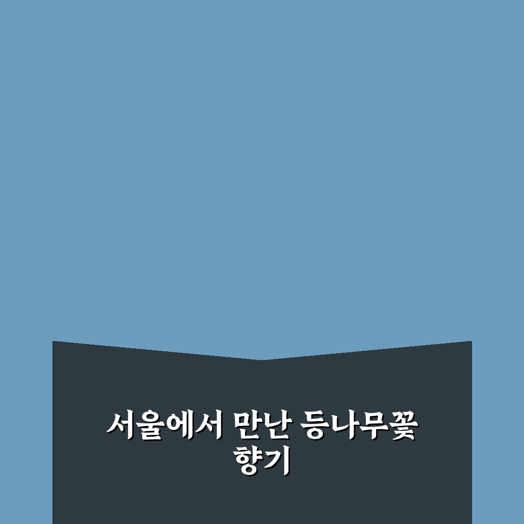 등나무꽃 서울 방문 후기, 봄날 산책하며 느낀 소소한 매력