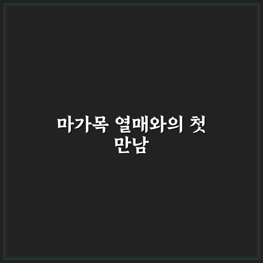마가목 열매 가격 직접 알아보니 변동 폭이 컸어요