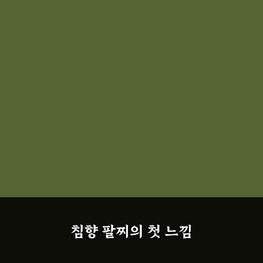 침향 팔찌 효능 직접 써보니 몸과 마음 변화 체감 후기