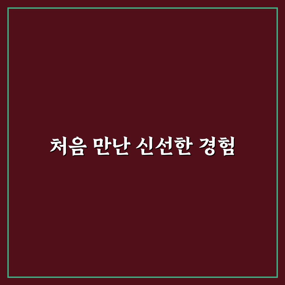 리포맨 사용 후기, 직접 써보니 알게 된 점들