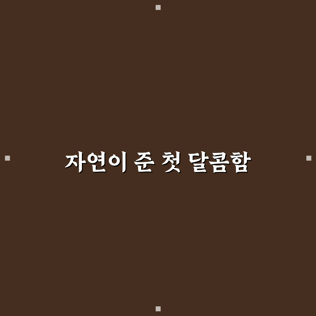 개복숭아 효능 직접 알아보니 달랐던 점들