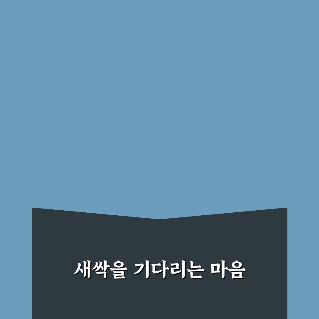 어수리 씨앗 파종시기 직접 알아보니 시기 맞추기 노하우