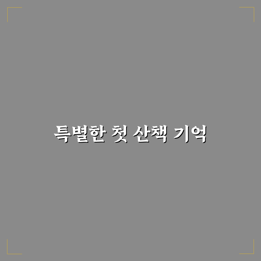 전주 조팝나무 철길 방문 후기, 한적한 산책길 체험기