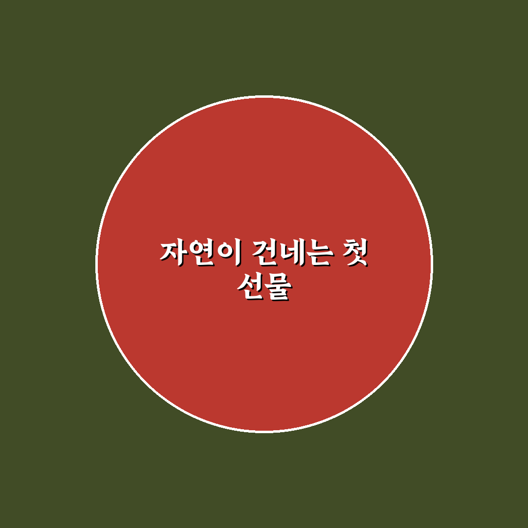 조팝나무 묘목 구매 후기, 직접 키워보니 알게 된 점