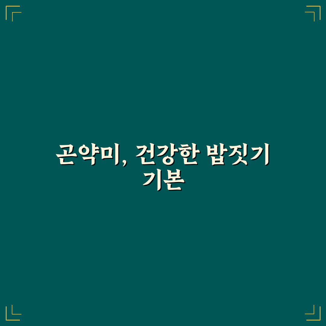 곤약미 밥짓기 기준과 선택 포인트 총정리