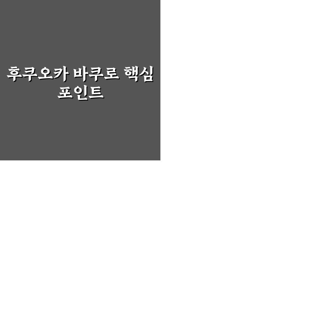 후쿠오카 바쿠로 가이드와 주요 체크포인트 5가지 분석