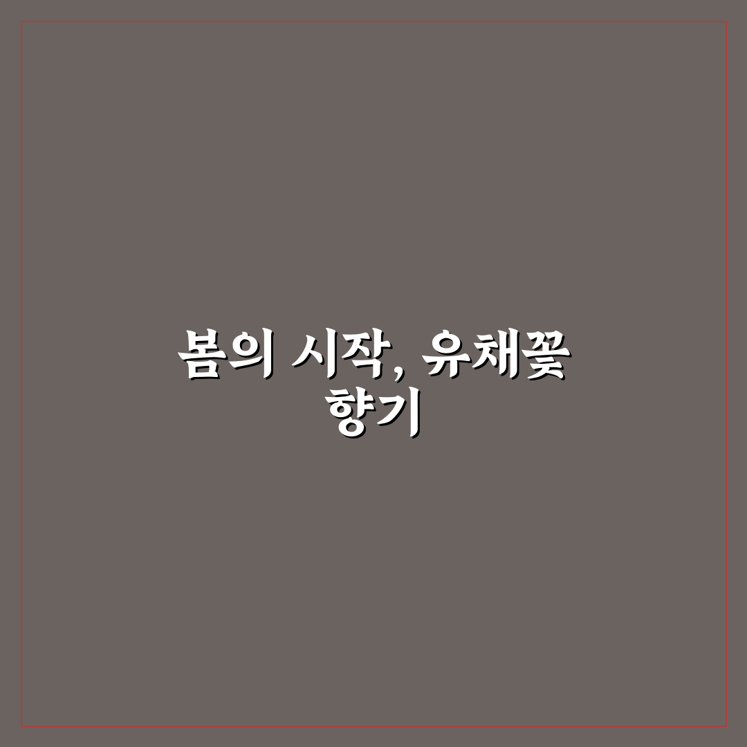 어린이대공원 유채꽃 관람 5가지 기준과 체크포인트 분석