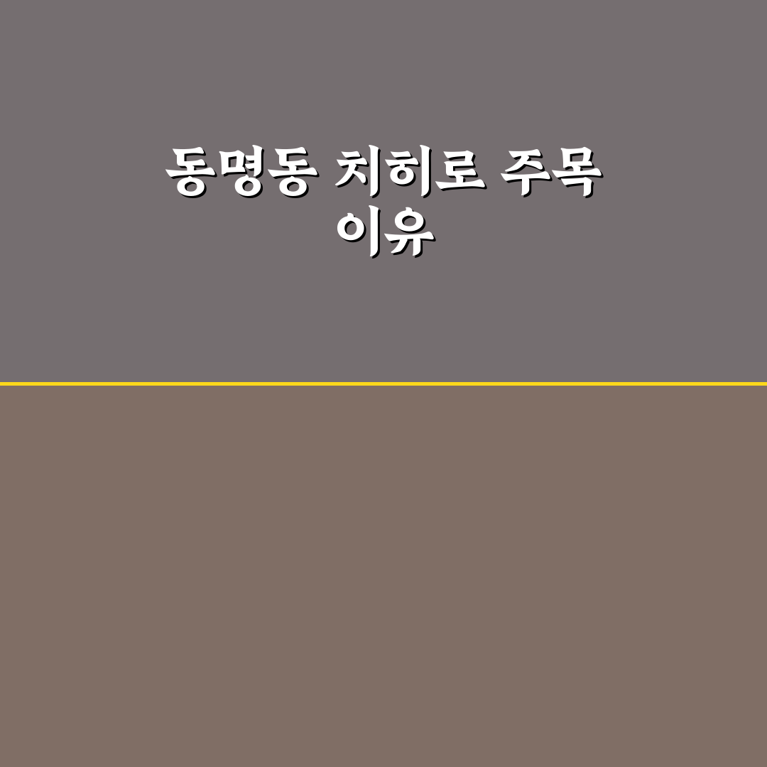 동명동 치히로 방문 전 꼭 알아야 할 5가지 비교 기준